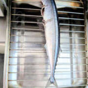 ヒメ日記 2026/10/14 12:52 投稿 あゆみ 妻天 梅田店