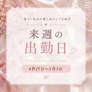 ヒメ日記 2026/04/25 16:58 投稿 ちとせ 名古屋ちゃんこ