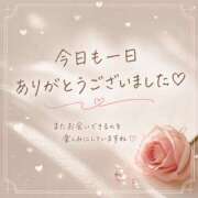 ヒメ日記 2026/04/26 23:53 投稿 ちとせ 名古屋ちゃんこ