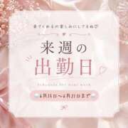 ちとせ 🌧️来週の出勤日(6/15〜6/21まで)🌧️ 名古屋ちゃんこ