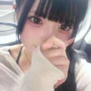 ヒメ日記 2026/04/12 15:10 投稿 ういか プリンセスセレクション姫路