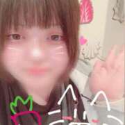 ヒメ日記 2026/04/24 17:03 投稿 ましろ ぽっちゃり巨乳素人専門店ぷにめろ池袋店