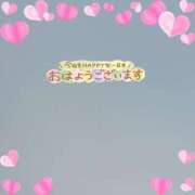 ヒメ日記 2026/04/13 09:54 投稿 あみ 千姫(道後)