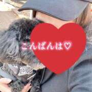 ヒメ日記 2026/05/07 21:25 投稿 ほのか 美妻隊