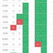 ヒメ日記 2026/04/25 10:49 投稿 ひなた サティアンまーと