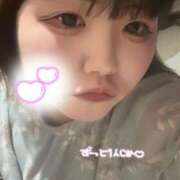 ヒメ日記 2026/04/20 14:51 投稿 ねる 久喜鷲宮ちゃんこ