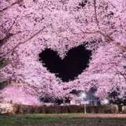 ヒメ日記 2026/04/12 14:16 投稿 つきみ 久留米デリヘルセンター