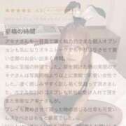 ヒメ日記 2026/06/20 19:21 投稿 明菜-Akina- 姉新地