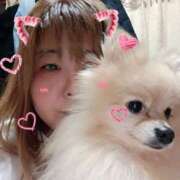 なつみ※ 愛犬? ちゃんこ大阪