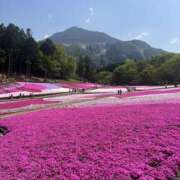 ヒメ日記 2026/04/21 12:00 投稿 まゆ 白金プラチナ(ユメオト)