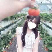 ヒメ日記 2026/04/21 18:18 投稿 ふゆり E+アイドルスクール船橋店