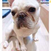 ヒメ日記 2026/04/13 15:25 投稿 杏 極楽園