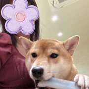 ヒメ日記 2026/04/20 14:27 投稿 杏 極楽園