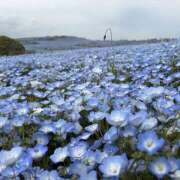 ヒメ日記 2026/04/22 23:06 投稿 杏 極楽園