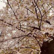 かえで ありがとうございました！ 横浜人妻ヒットパレード（シンデレラグループ）