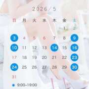 ヒメ日記 2026/04/29 19:53 投稿 すずね(新人割7/7まで) ニュー不夜城