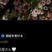 ヒメ日記 2026/04/29 21:54 投稿 すずね(新人割7/7まで) ニュー不夜城