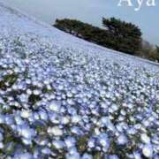 ヒメ日記 2026/05/11 16:07 投稿 あや 完熟ばなな川崎