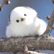 ヒメ日記 2026/06/12 12:04 投稿 しゅうか 人妻倶楽部 内緒の関係 大宮店