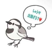 ヒメ日記 2026/08/02 09:04 投稿 しゅうか 人妻倶楽部 内緒の関係 大宮店