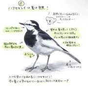 ヒメ日記 2026/07/04 22:18 投稿 しゅうか 人妻倶楽部 内緒の関係 川越店