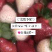 岡田とわ ♡ 出勤予定 ♡ 池袋パラダイス