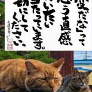 ヒメ日記 2026/07/17 10:25 投稿 しゅうか 人妻倶楽部内緒の関係 春日部店