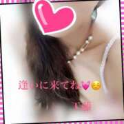 ヒメ日記 2026/04/27 11:10 投稿 工藤 HERMINE-エルミネ-