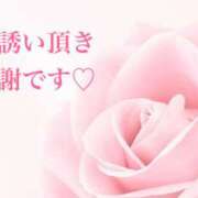 工藤 水曜日のありがとう💕☺️ HERMINE-エルミネ-