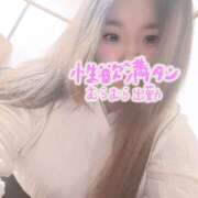 みい 寂しい…… ちゃんこ大阪伊丹空港豊中店