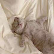 ヒメ日記 2026/04/28 22:12 投稿 葉月もえ 皇帝別館（こうていべっかん）