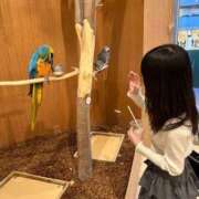 ヒメ日記 2026/06/18 01:58 投稿 こと とある風俗店♡やりすぎさーくる新宿大久保店♡で色んな無料オプションしてみました