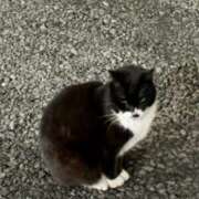 ヒメ日記 2026/04/12 15:01 投稿 菅井かのん 鶯谷デッドボール