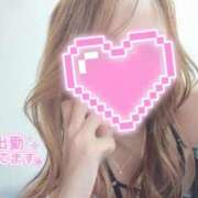 ヒメ日記 2026/04/24 10:31 投稿 ひめか かりんと大宮