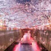 ヒメ日記 2026/04/13 05:03 投稿 三奈【みな】 ★無料オプション多数★成田若妻即即サークル【日本人専門店】