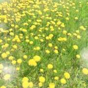ヒメ日記 2026/05/08 14:33 投稿 ゆうな 花火-hanabi-(すすきの)