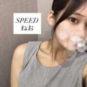 ヒメ日記 2026/07/03 13:11 投稿 ねお スピード難波店