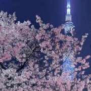 あかり はじめまして。 熟女の風俗最終章 沼津店