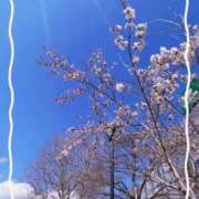 ヒメ日記 2026/04/19 13:59 投稿 あかり 熟女の風俗最終章 沼津店