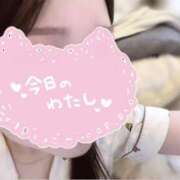 ヒメ日記 2026/04/27 08:25 投稿 ゆうか ノース -North-