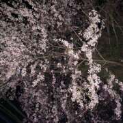 ヒメ日記 2026/04/15 19:19 投稿 ひな 宇都宮 Playlist