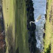 ひな ‼️出勤‼️ 宇都宮 Playlist