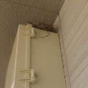 ヒメ日記 2026/05/11 08:57 投稿 青葉るな ヌルテカ