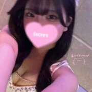 ヒメ日記 2026/04/13 01:55 投稿 はる DOLCE