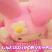 ヒメ日記 2026/04/15 22:45 投稿 らむ ミルキーラテ