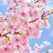 ヒメ日記 2026/04/13 15:51 投稿 歩美（あゆみ） 松戸デリヘル　熟女ヘブン