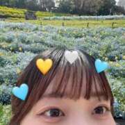 ゆん（逸材！完全業界未経験！ おやすみの日🌷🫧 ハニービー（Honey Bee）