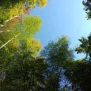 ヒメ日記 2026/04/16 10:01 投稿 さち モアグループ熊谷人妻花壇