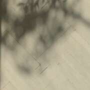 ヒメ日記 2026/04/19 08:33 投稿 さち モアグループ熊谷人妻花壇