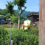 ヒメ日記 2026/06/13 11:16 投稿 さち モアグループ熊谷人妻花壇